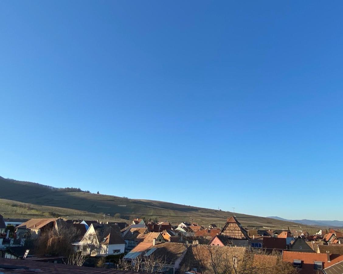 Duplex Le 12 - Appartement Avec Terrasse Dans Le Vignoble - 5 Mn Du Centre De Colmar Wettolsheim Eksteriør bilde
